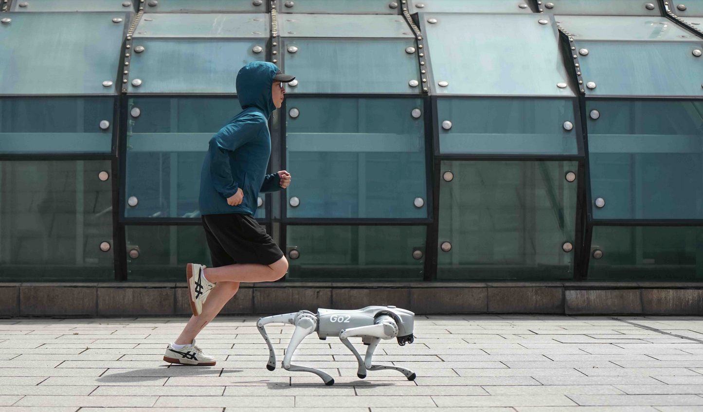 Unitree Go2 Air - Quadruped robot platform