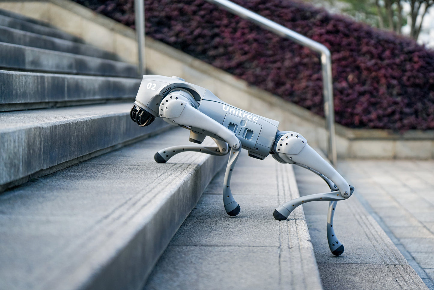 Unitree Go2 Air - Quadruped robot platform