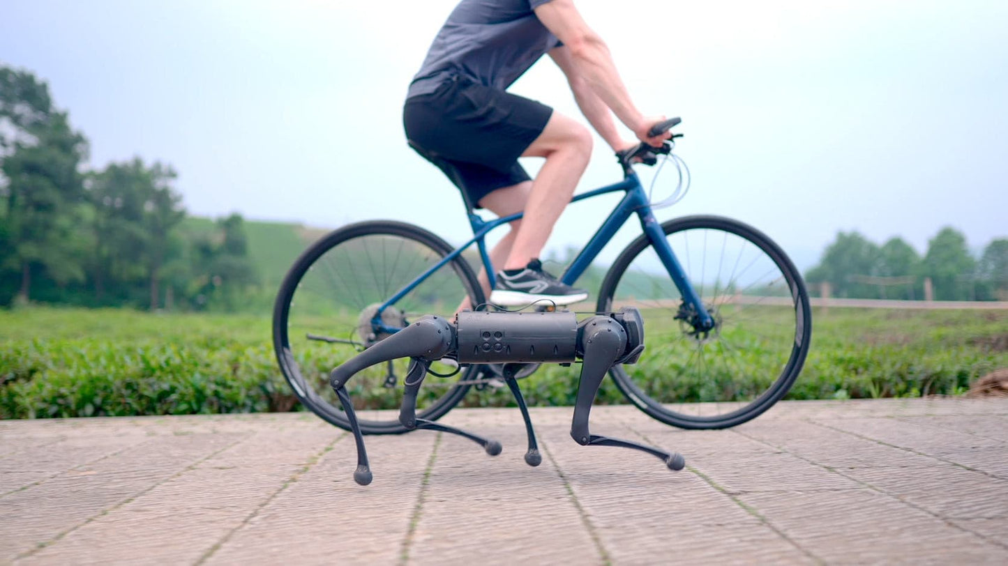 Unitree Go1 Air - Négylábú robotplatform